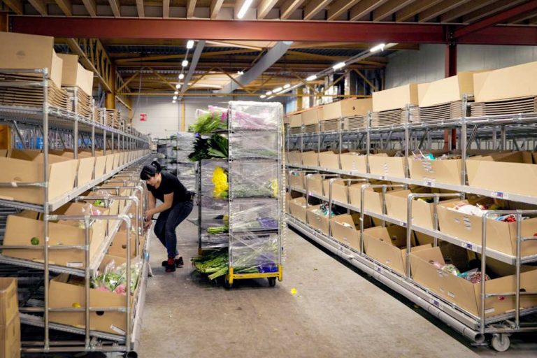 Celdomy werkt 30% efficiënter met goods to person systeem